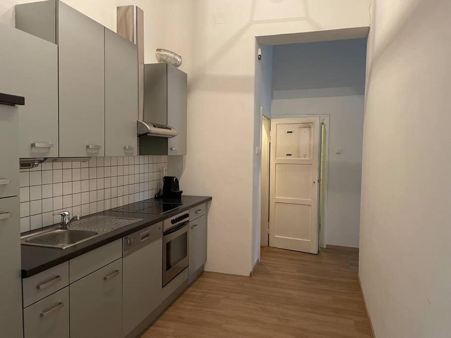 Geraeumige Altbauwohnung Im Zentrum Graz Exterior photo